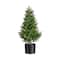 2ft. Potted UV Resistant Rosemary Cone Topiary Tree